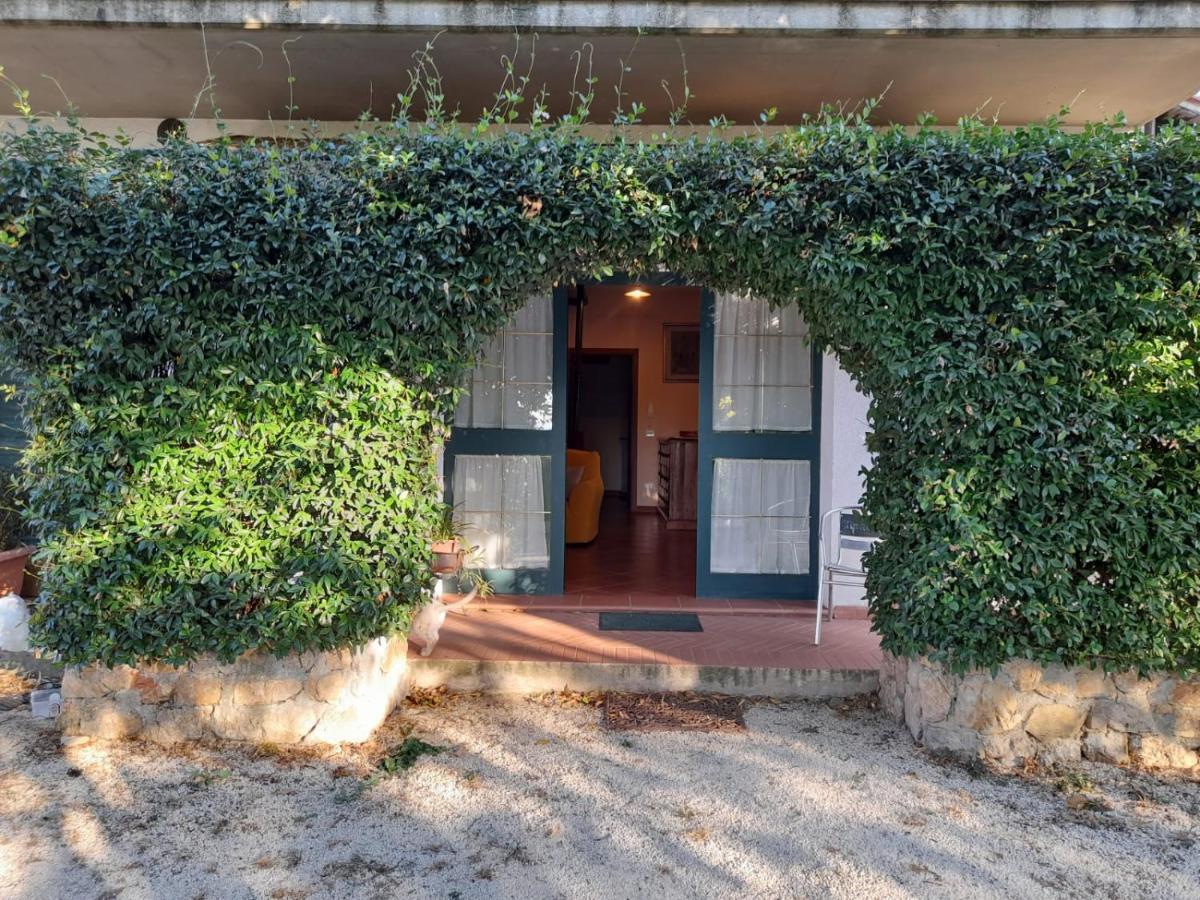 8380 Il Tiglio Verde Manciano Exterior photo